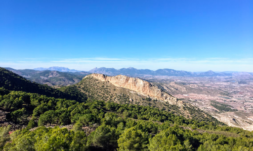 Mudanzas Lorca