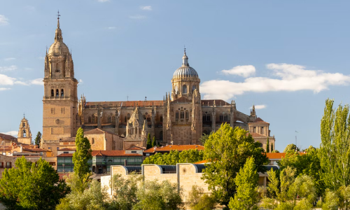 Mudanzas Salamanca